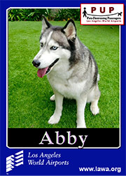 abby.png