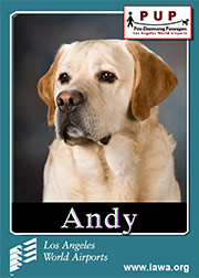 andy.png