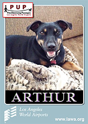 arthur.png