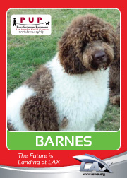 barnes.png