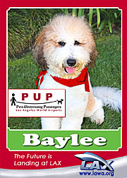 baylee.png