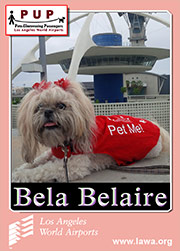 bela_belaire.png