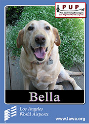 bella.png