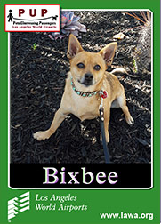bixbee.png