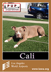 cali.png
