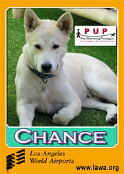 chance.png