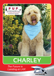 charley.png