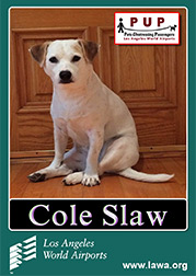 cole_staw.png