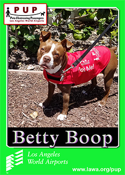 pup_betty.png