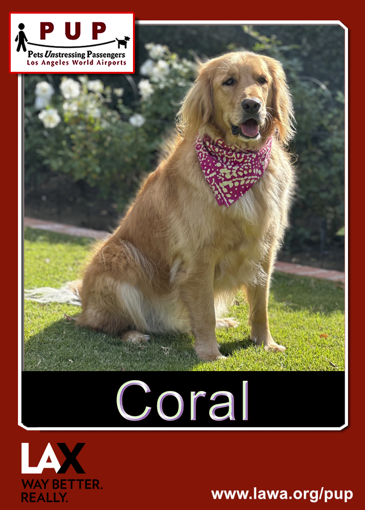 pup_coral_front.png