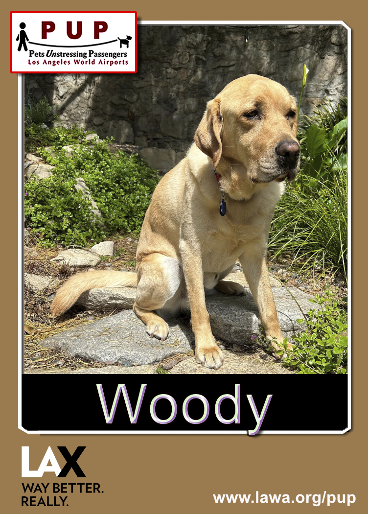 pup_woody_front.png