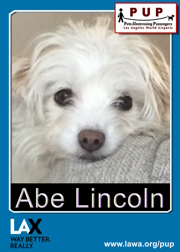 pups_abe_lincoln.png