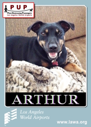 pups_arthur.png