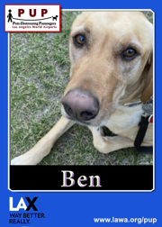 pups_ben.png