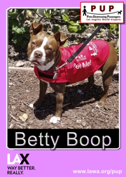 pups_betty_boop.png