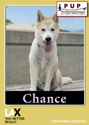pups_chance.png