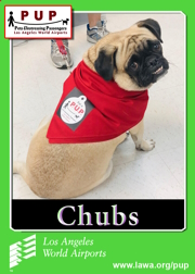 pups_chubs.png