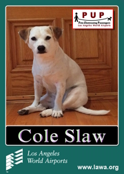 pups_coleslaw.png