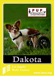 pups_dakota.png