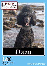 pups_dazu.png