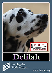 pups_delilah.png