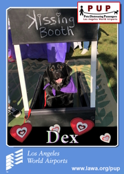 pups_dex.png