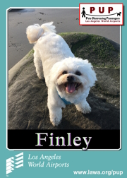 pups_finley.png