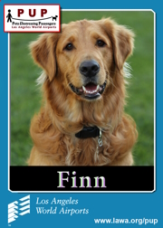 pups_finn.png