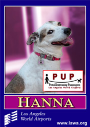 pups_hanna.png