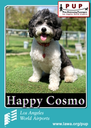 pups_happy_cosmo.png
