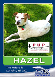 pups_hazel.png