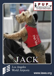 pups_jack.png