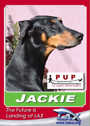 pups_jackie.png