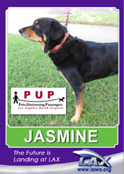 pups_jasmine.png