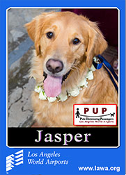 pups_jasper.png