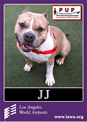 pups_jj.png