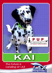 pups_kai.png