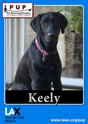pups_keely.png