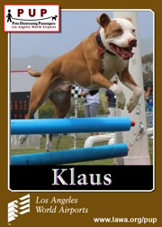pups_klaus.png