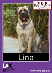 pups_lina.png
