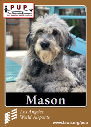 pups_mason.png