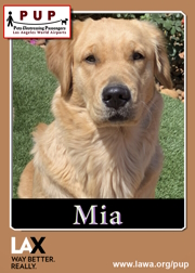 pups_mia.png