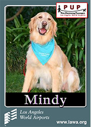pups_mindy.png