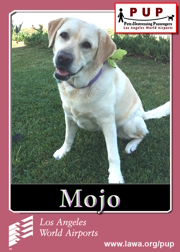 pups_mojo.png