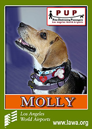 pups_molly2.png