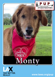 pups_monty.png