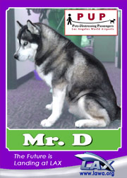 pups_mrd.png