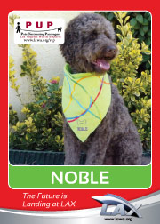 pups_noble.png