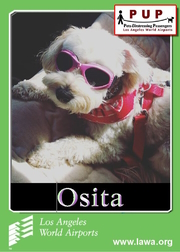 pups_osita.png