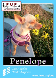 pups_penelope.png
